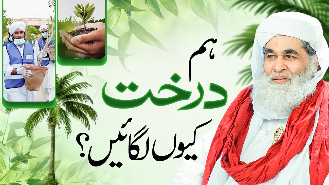 Hum Darakht Kyun Lagayen? | Youm-e-Shajar Kari | 1st August Plantation Day | FGRF Dawateislami